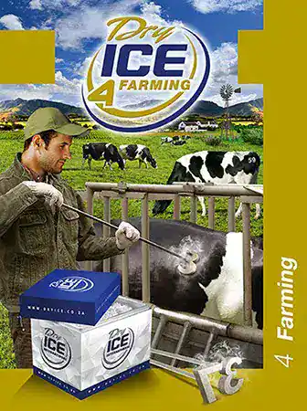 Farmer using dry ice in farming with cows and scenic landscape.